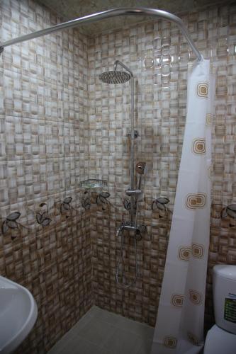  Hotel Felisa Gyumri -  Room  picture :   Tea/Coffee maker    Shower    TV                           