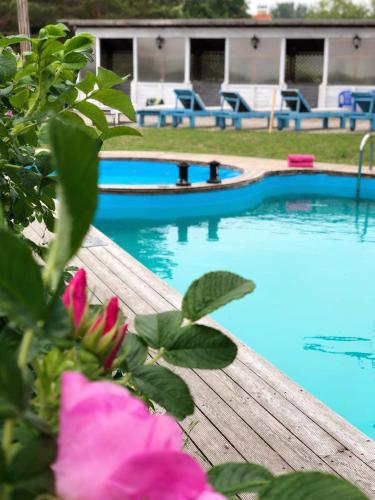 Πισίνα στο ή κοντά στο Altrimo Hotel