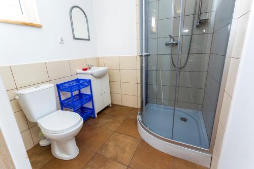 a bathroom with a toilet and a shower at U Marleny in Ustka