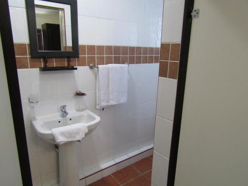een badkamer met een wastafel, een spiegel en handdoeken bij Buckleigh Guesthouse in Durban