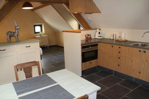 a kitchen with a sink and a counter top at Logies Tommenmolen in Grimbergen