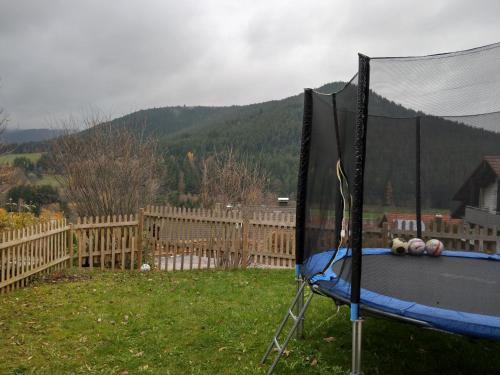 a ping pong table in a yard with at Ferien Paradies in Baiersbronn