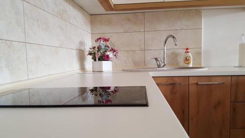 Gallery image of Apartman "Alex & Nina" in Ulcinj