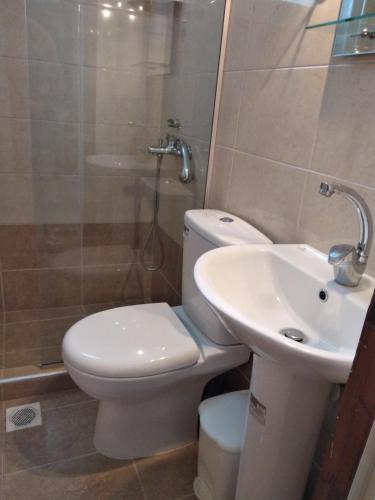 a bathroom with a toilet and a sink at Velikis Apartments in Toroni