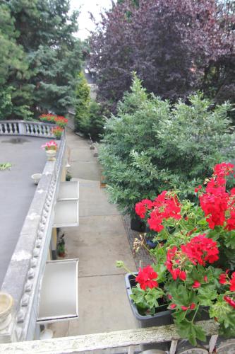 a row of plants on a balcony with red flowers at W.I.P. Welt im Park in Dresden