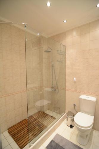 a bathroom with a glass shower with a toilet at Villa Blue in Skala Potamias