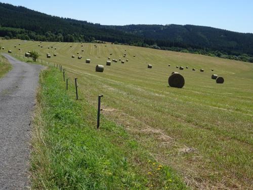 a field full of hay bales in a field at Apartmány Sport Dolní Morava in Dolní Morava