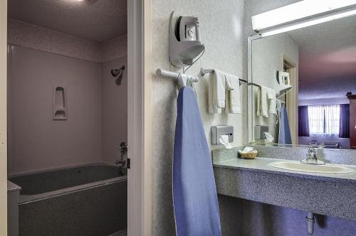 baño con lavabo y cortina de ducha azul en Americas Best Value Inn Midlothian, en Midlothian