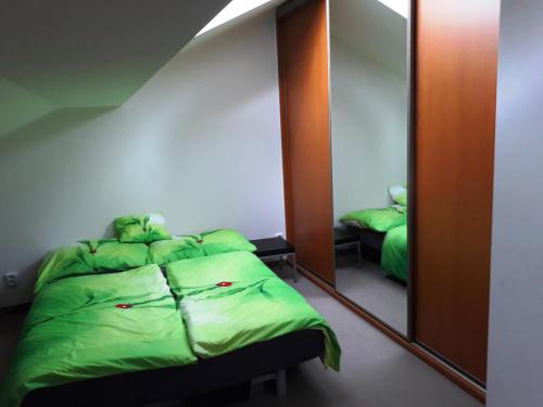 プラハにあるSunny Two-story Apartment Kyjeのベッドルーム(緑のベッド1台、鏡付)