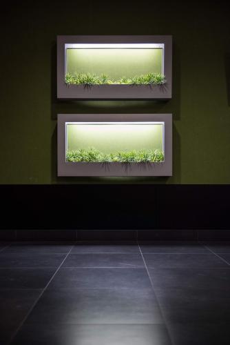 two mirrors on a green wall with plants at the b ikebukuro in Tokyo