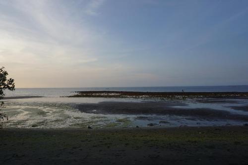 a beach with the ocean in the background at Pondok Bali Sea View Bungalow in Lovina