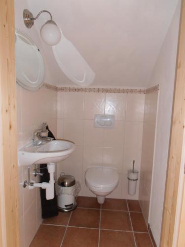 a small bathroom with a sink and a toilet at Ferienhaus Gaiswinkler in Grundlsee