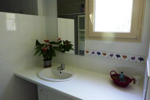 un bagno con lavandino e pianta in vaso di Les Menoyres a Loubressac
