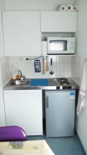 une petite cuisine avec un évier et un micro-ondes dans l'établissement Résidence Mayol - Draps et serviettes fournis, à Toulon