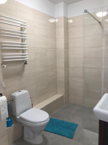 łazienka z toaletą, prysznicem i umywalką w obiekcie Apartament W KWIATKI:) Pogorzelica w Pogorzelicy
