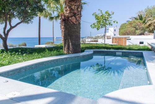 a swimming pool with a palm tree and the ocean at Porto Bello Tinos in Agios Ioannis
