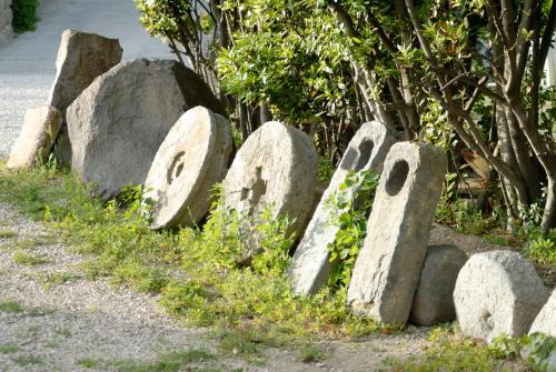 Gallery image of Hotel Agave e Ginestra in Ventotene