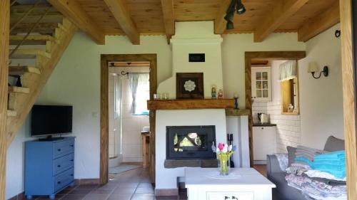 a living room with a fireplace and a tv at Zagroda Krasna in Polańczyk