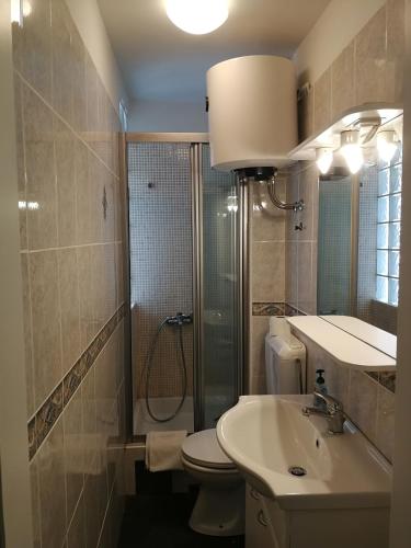 a bathroom with a toilet and a sink and a shower at Apartments Zlatko Delic in Ika
