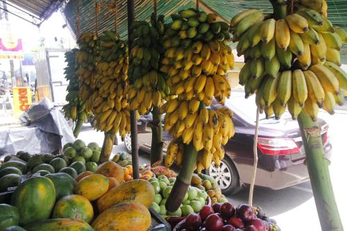 a fruit stand with bunches of bananas and other fruits at Bentota Home Stay in Bentota