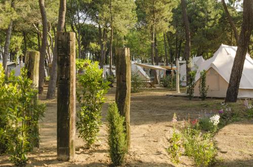 a group of tents in a field with trees at GoOutside Venezia in Cavallino-Treporti
