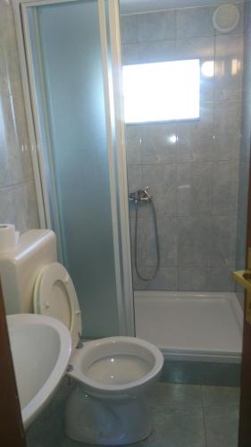 a bathroom with a toilet and a shower and a sink at Apartman Baja in Čunski