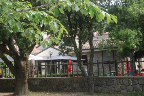 Taman di luar Hotel Bosco Selene
