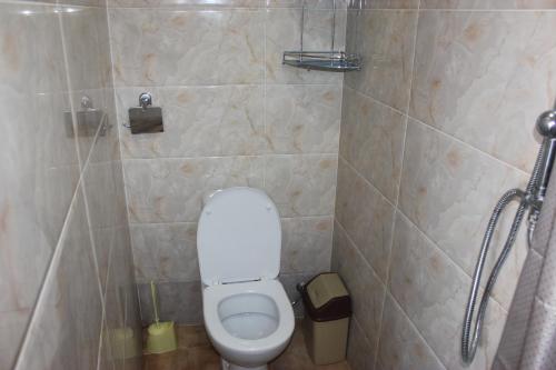 a small bathroom with a toilet and a shower at Guest house Gidi in Sighnaghi