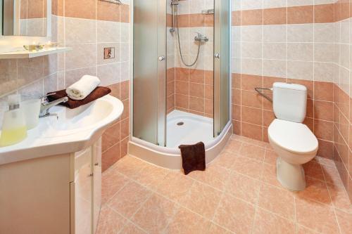 a bathroom with a toilet and a shower and a sink at Penzion Pohoda Sokolov in Sokolov