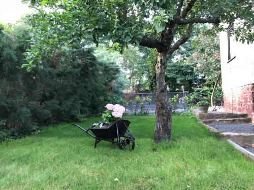 Taman di luar Rózsakő Ház