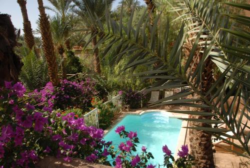 - une piscine dans un jardin planté de palmiers et de fleurs violettes dans l'établissement Villa Zagora Ma Villa au Sahara, à Zagora