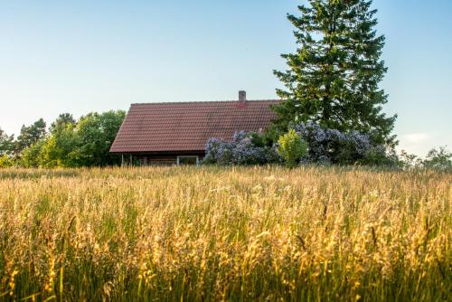 a house in the middle of a field with a tree at Northern Zen in Kaunispe