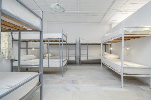 a room with four bunk beds in it at Hostel Naxos Camping in Naxos Chora