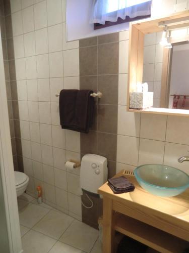 une salle de bain avec un lavabo et des toilettes dans l'établissement Gite Muscat, à Colmar