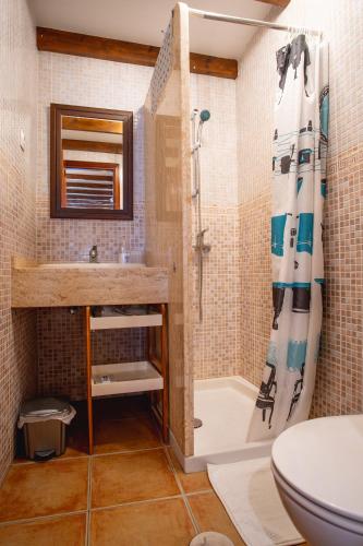 a bathroom with a shower and a toilet and a sink at Casa Checa Apartment 2 in El Cotillo