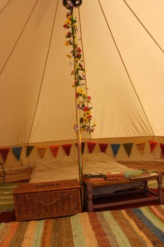 een tent waaruit een plant groeit bij The Valley Bell Tents, Bring Your Own Bedding in Amroth