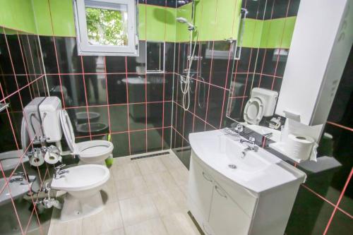 a bathroom with a toilet and a sink and a mirror at Apartments River 1 in Bihać
