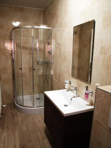 a bathroom with a shower and a sink and a mirror at Vila Lexus in Veľký Meder