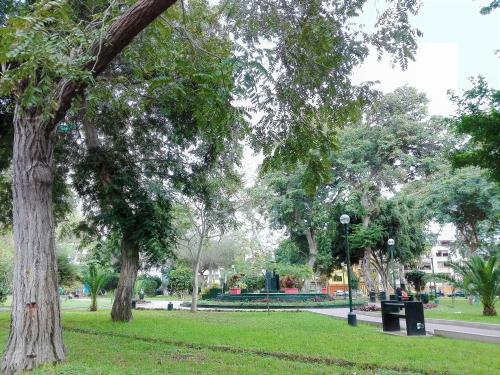 a park with trees and a bench in the grass at Los Q'eros in Lima