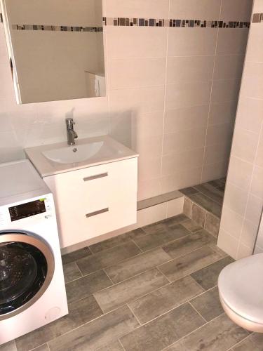 ein Badezimmer mit einem Waschbecken und einer Waschmaschine in der Unterkunft Centre ville Colmar, parking in Colmar