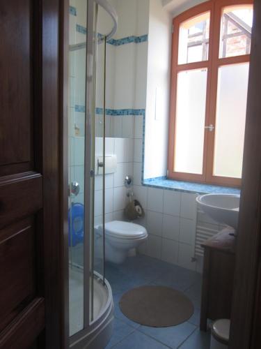a bathroom with a shower and a toilet and a sink at Ferienwohnung Pusteblume in Steinhöfel
