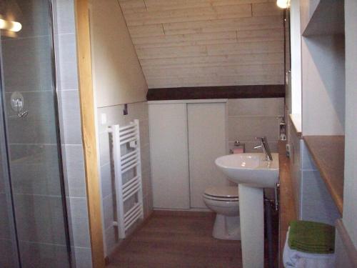 Baño pequeño con aseo y lavamanos en La Trouverie, en Pleines-Oeuvres