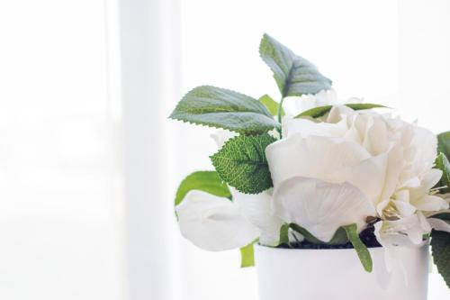 a white vase with white flowers in it at King Guest Lodge in Port Elizabeth