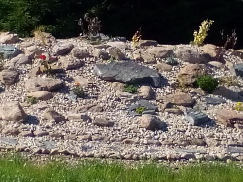 a rock garden with rocks and grass at U nových přátel in Lichkov