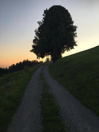 a tree on a hill next to a gravel road at Ferienwohnung Feurle´s in Doren