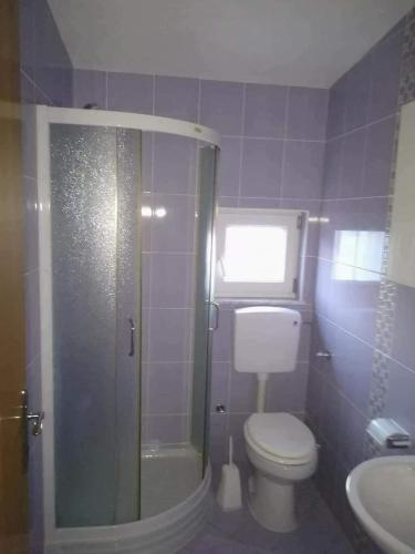 a bathroom with a toilet and a shower and a sink at Apartment Krmpotić in Vir