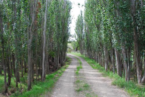 Paisaje cerca de este agroturismo