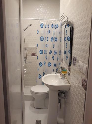 a bathroom with a toilet and a sink and a shower at Melania's house in Batumi
