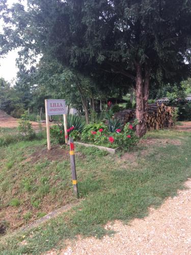 Photo de la galerie de l'établissement Lilla Apartman, à Sárvár