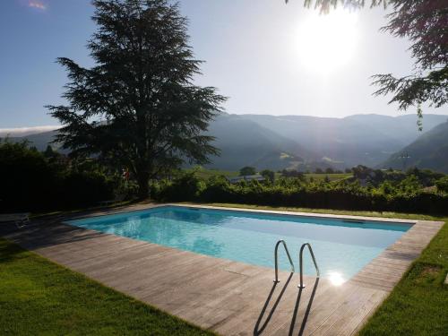 a swimming pool with a view of mountains at Baumgartnerhof in Naz-Sciaves